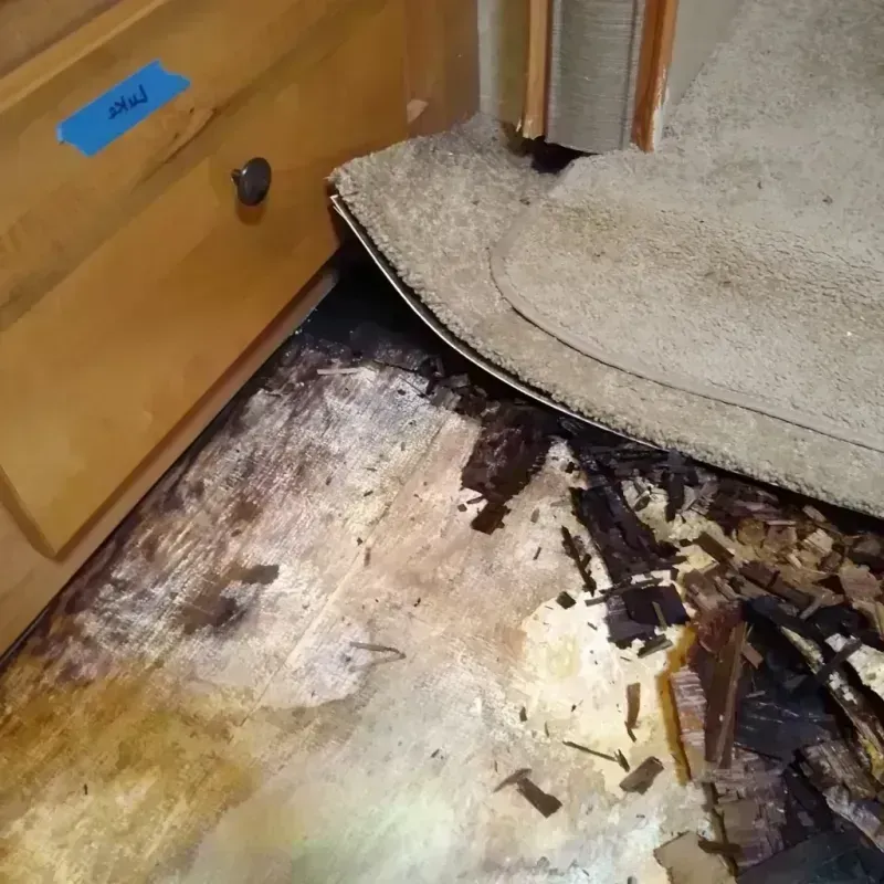 Wood Floor Water Damage in Citrus, CA